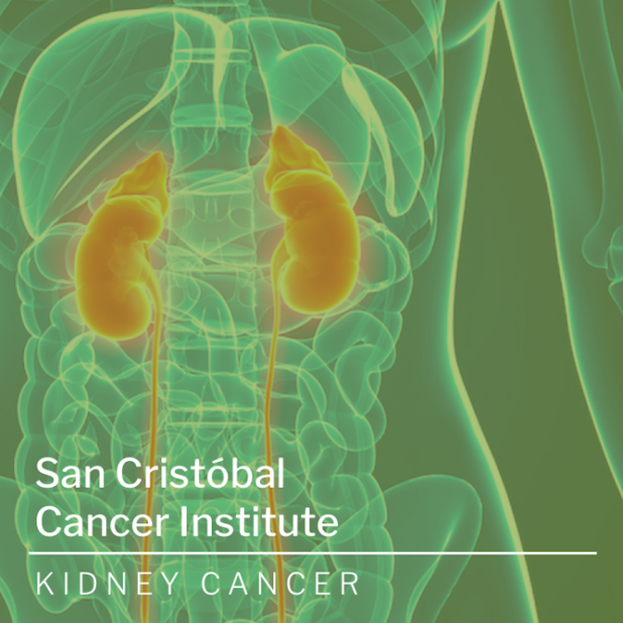 Kidney Cancer Facts San Cristóbal Cancer Institute